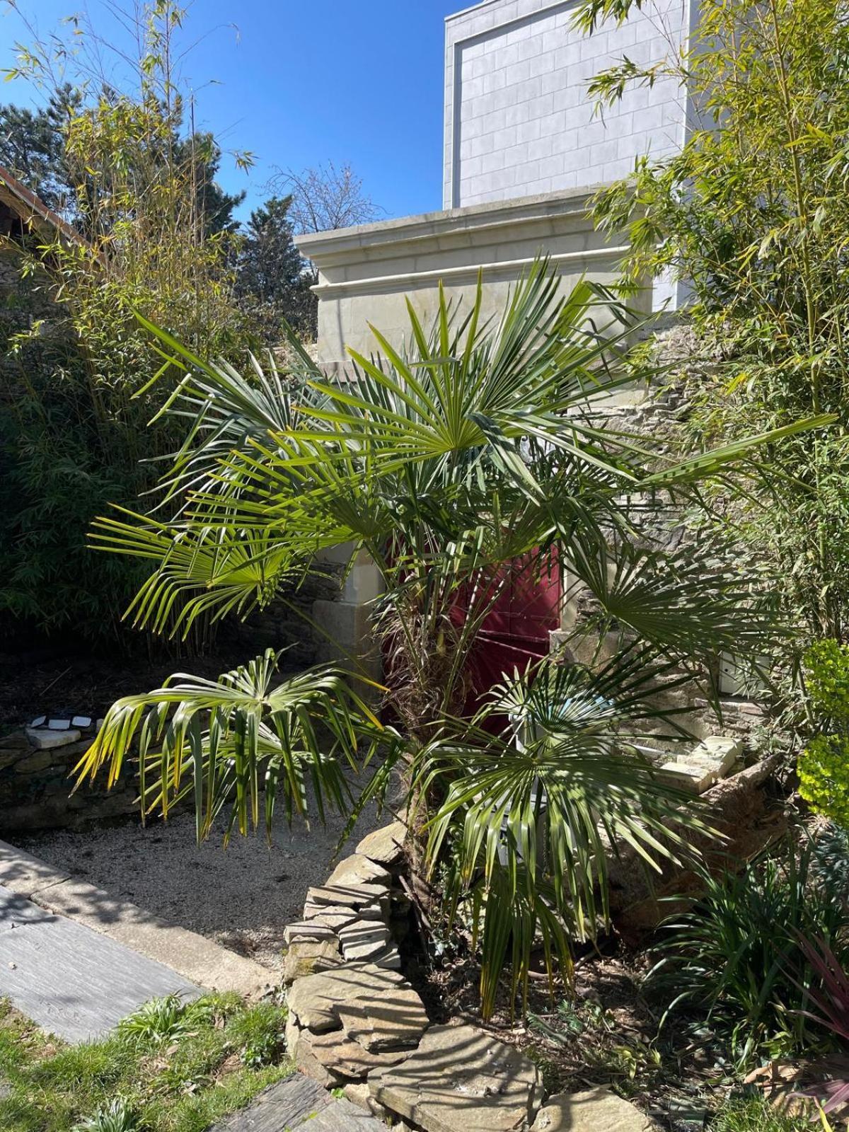 Logement Entier - La Laiterie De La Plume Nantes Bagian luar foto