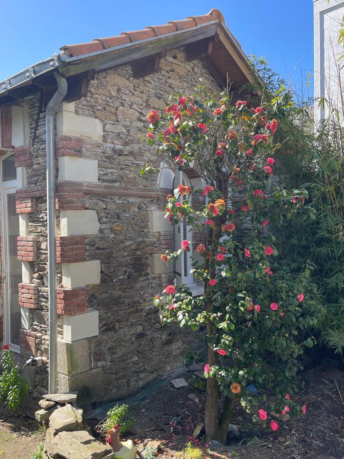 Logement Entier - La Laiterie De La Plume Nantes Bagian luar foto